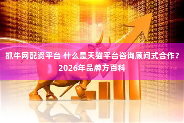 抓牛网配资平台 什么是天猫平台咨询顾问式合作？2026年品牌方百科